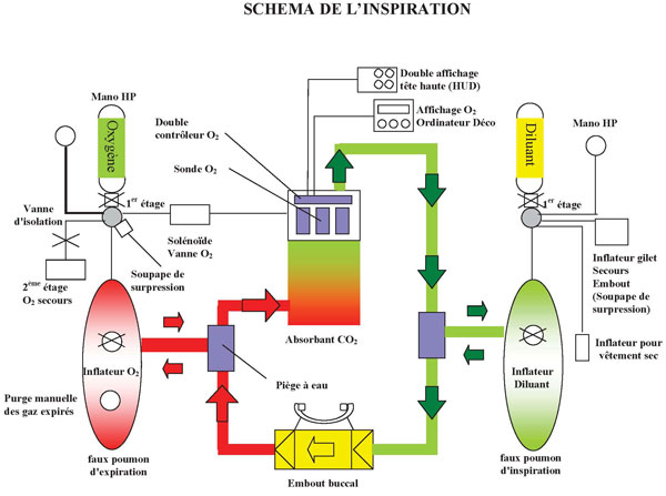 Sch&eacute;ma Inspiration/Evolution &eacute;lectronique Vision